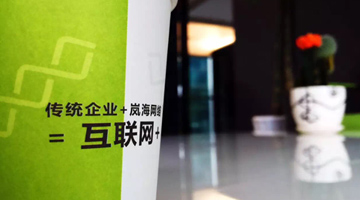 岚海网络旗下羚澜科技公司正式成立